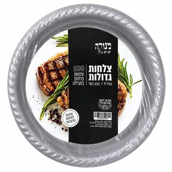 צלחת גדול כסף - 100 יחידות