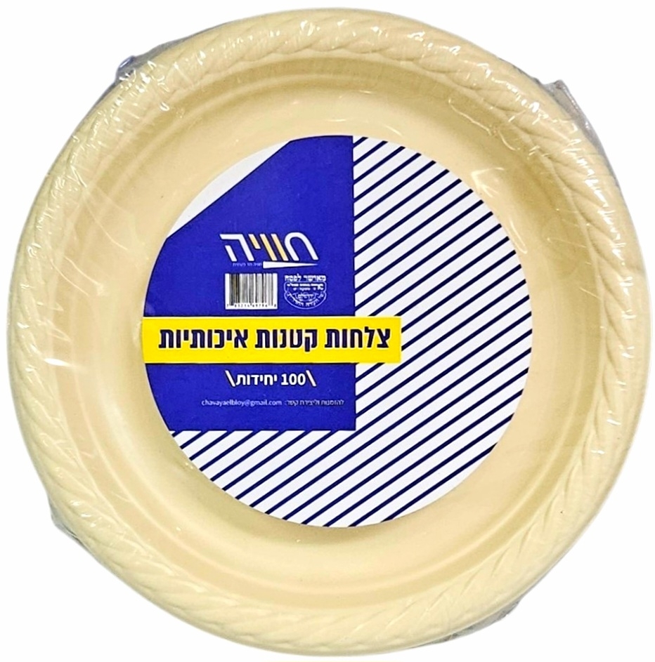 לקנות כמו קינג | כל מה שאתם צריכים עד פתח הבית