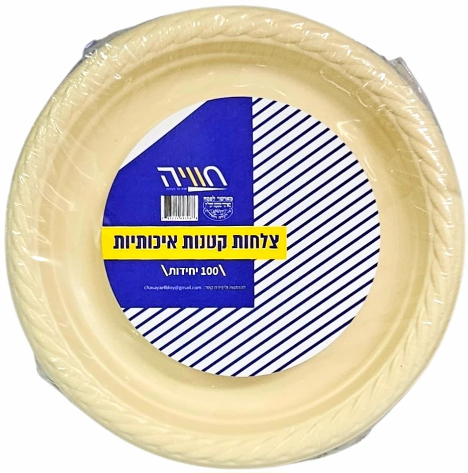 לקנות כמו קינג | כל מה שאתם צריכים עד פתח הבית
