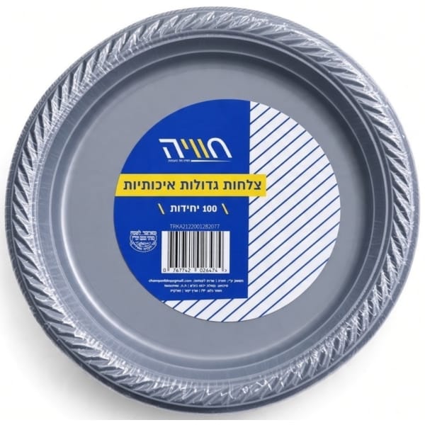 מארז 100 צלחות גדולות קשיחות בצבע כסף של חוויה